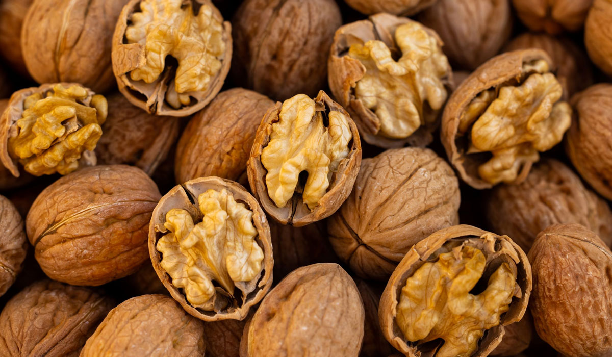 Mengungkap Manfaat Walnut untuk Otak dan Kesehatan Tubuh